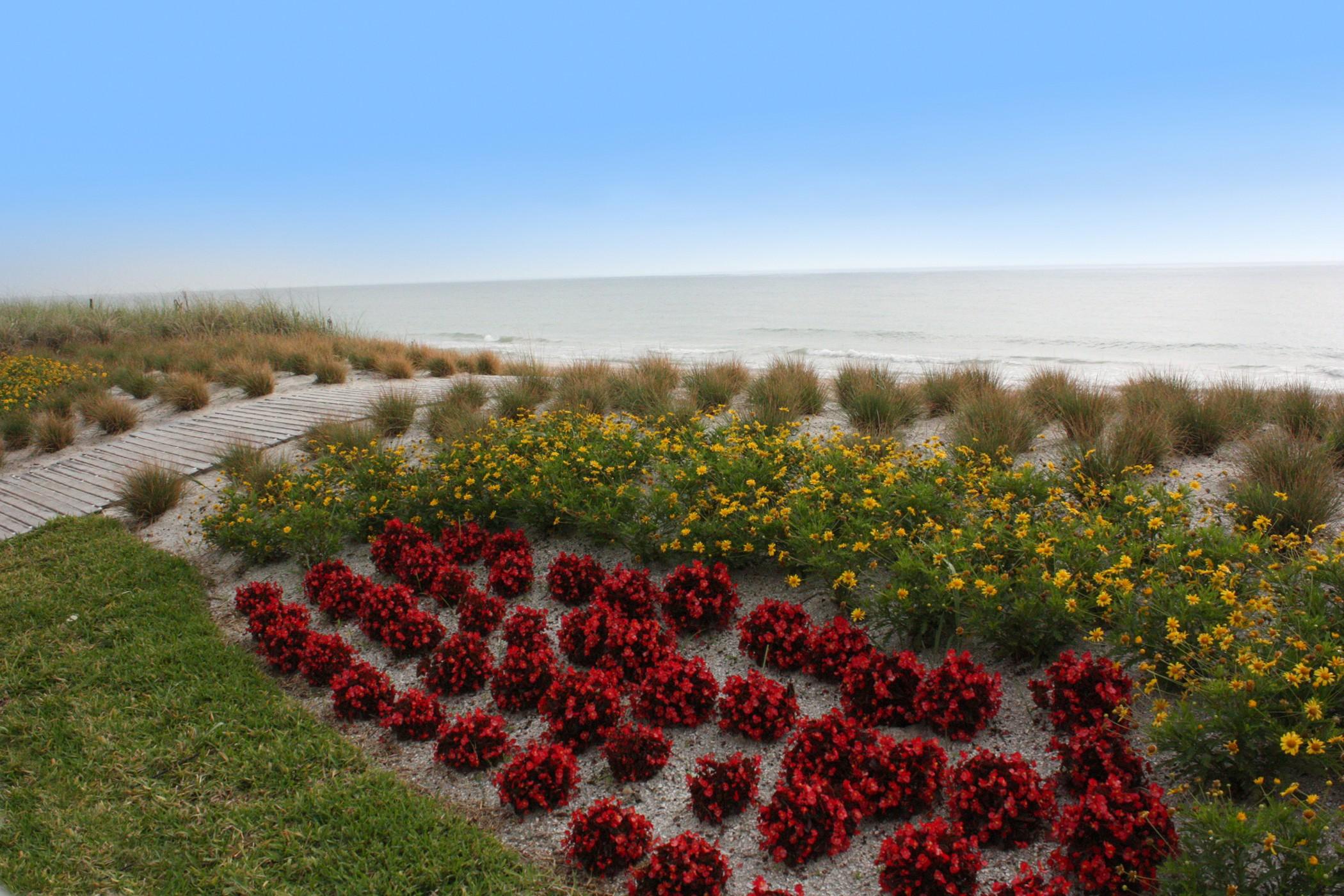 Costa D'Este Beach Resort & Spa Vero Beach Zewnętrze zdjęcie